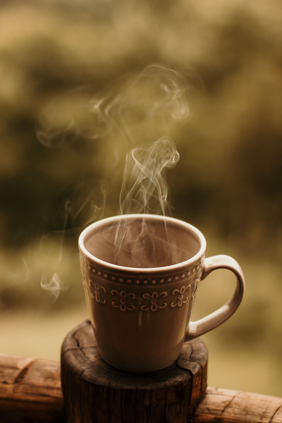 绿茶VPN版本对比选择